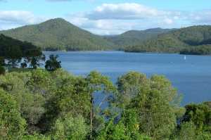 HINZE DAM 2006(010)